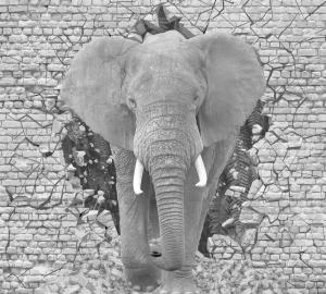 Слон из джунглей 3-167nk
