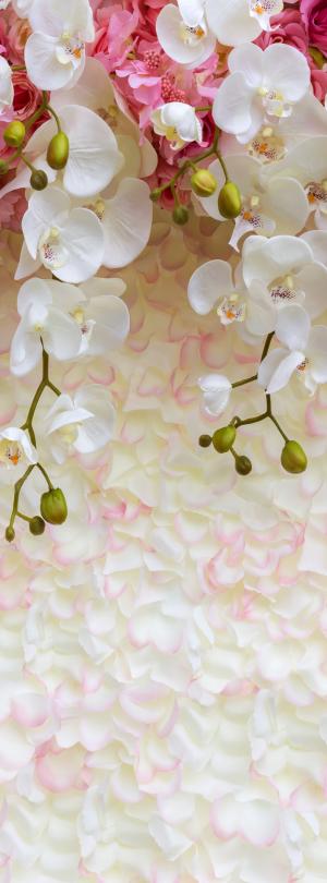 Розовые и белые орхидеи 6278-ML