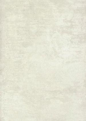 Concetto 9880
